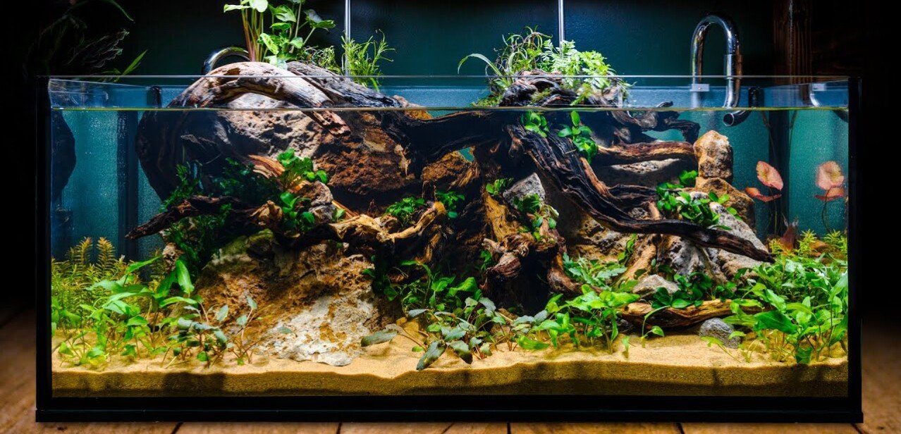 Aquarium Design