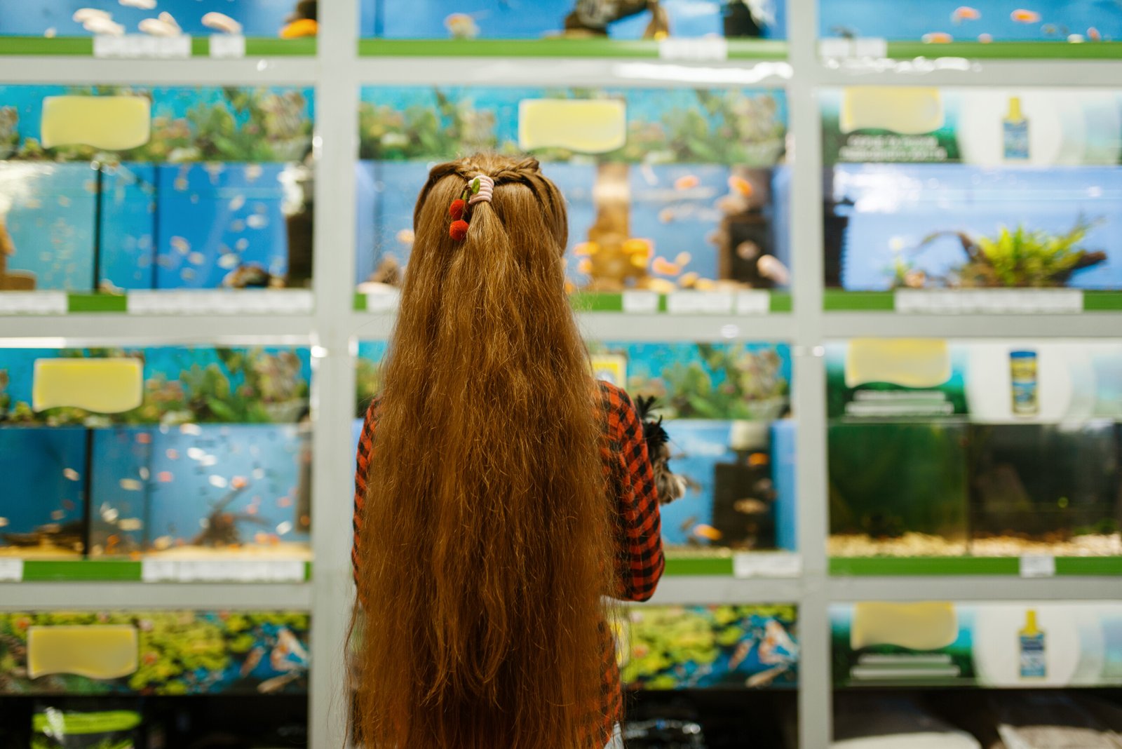 Girl looking on fishes in aquarium, pet store